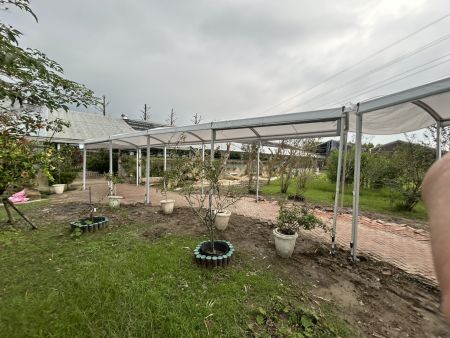 Corridor Tent for Garden Pathway